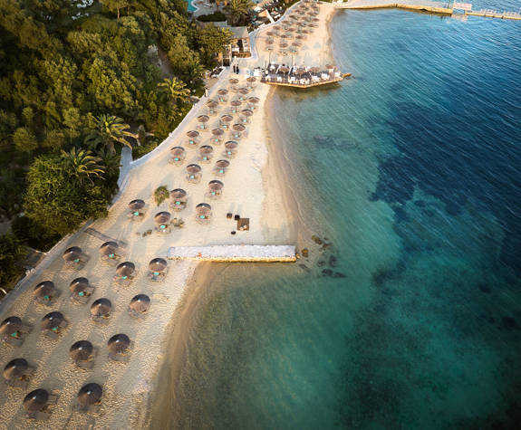 Eagles Resort Chalkidiki amazing sandy beach with trees, sunbeds and umbrellas